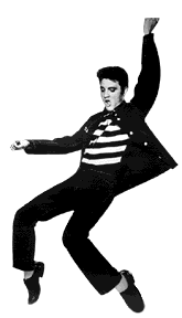 Elvis